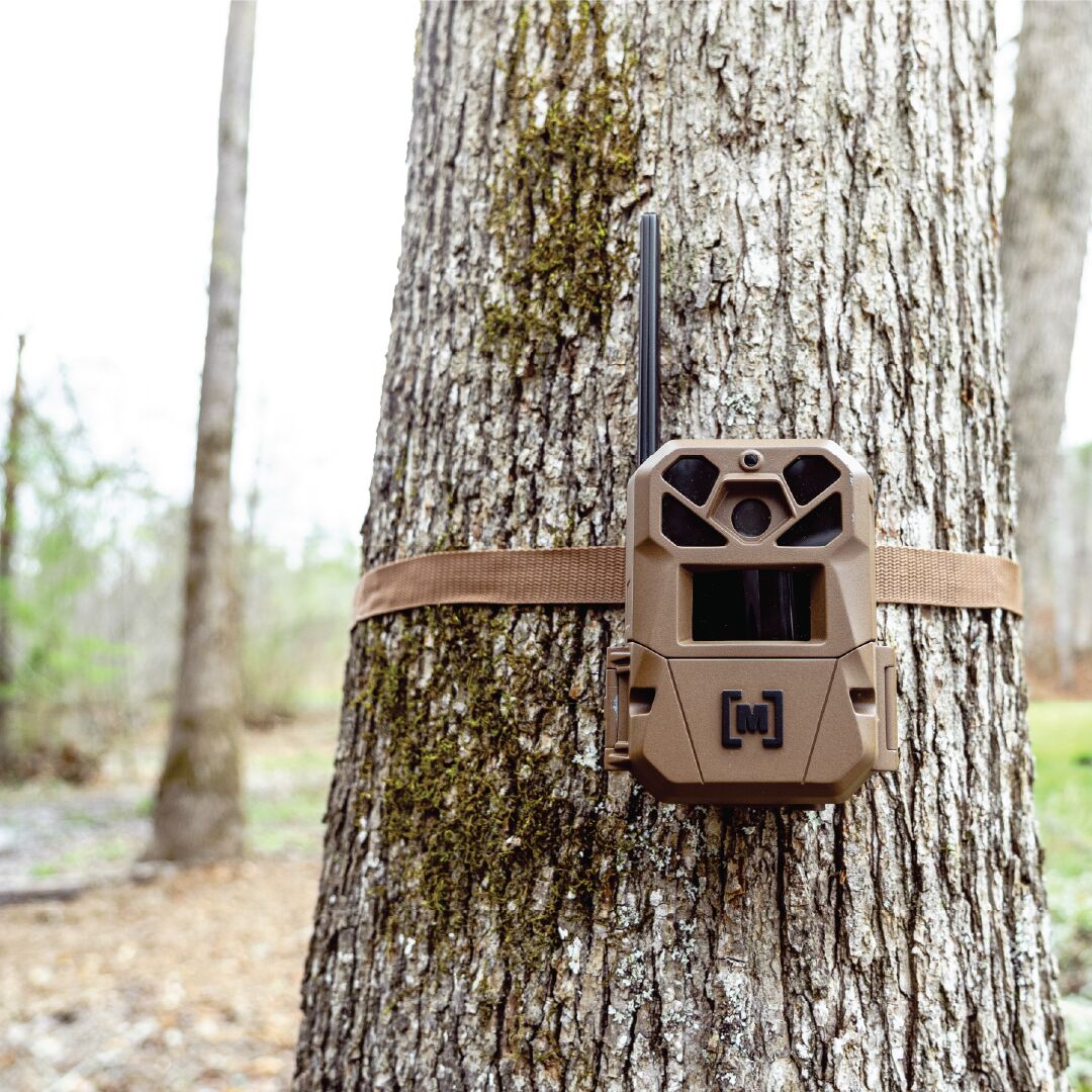 Moultrie Edge 3 Cellular 40MP Trail Camera - 2-Pack