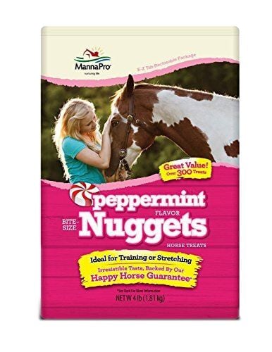 Peppermint Bite Size Nuggets - 4 Lb