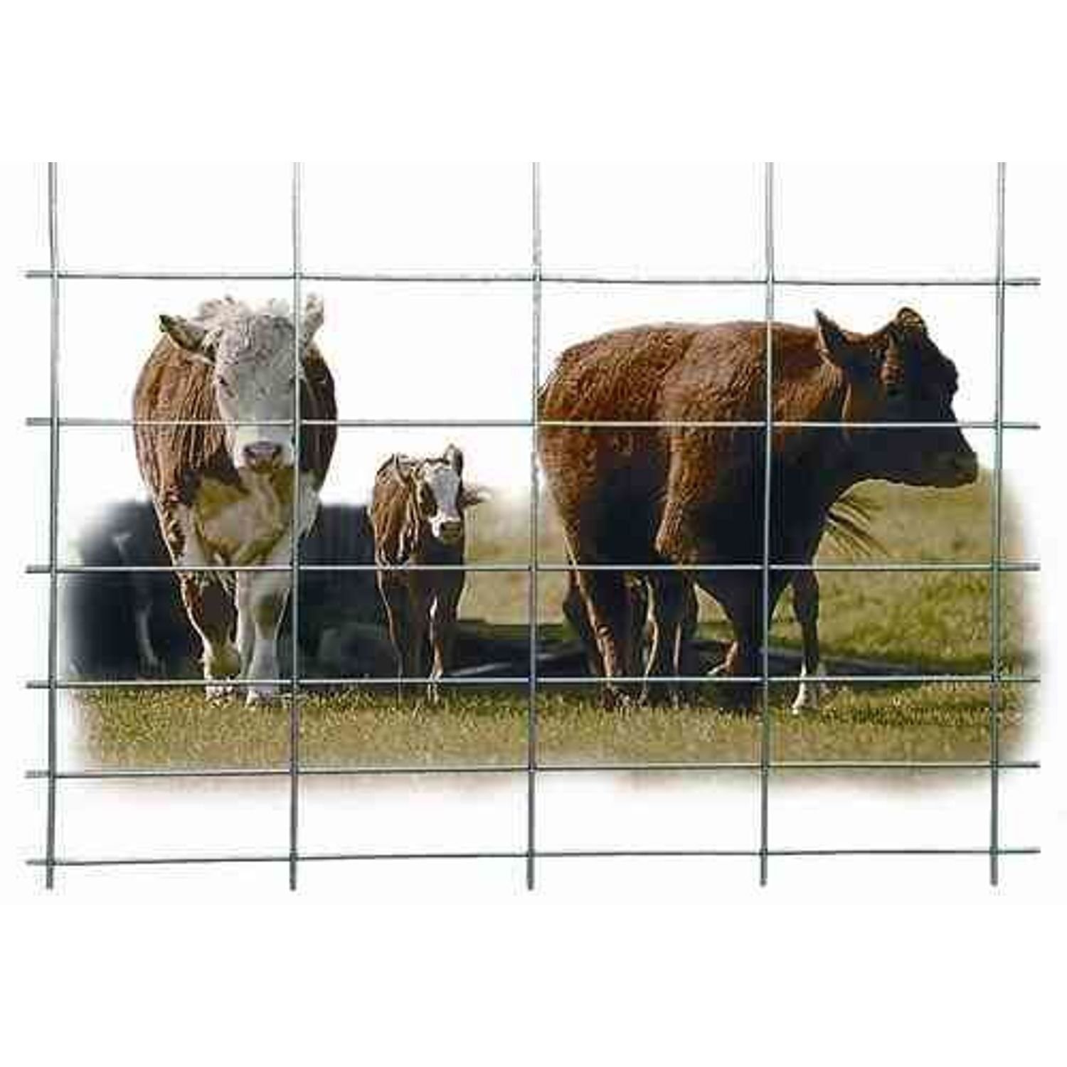 50" Wire Cattle Panel