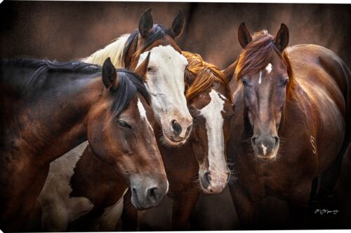 Board Meeting by Mitchell Mansanarez Wall Art - 12" x 18"
