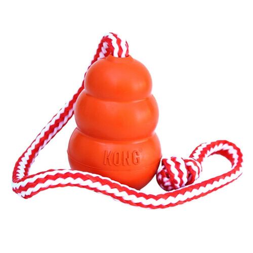 Aqua with Rope Floating Dog Toy - Large