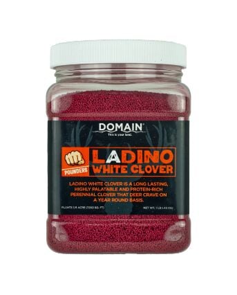 Pounder - Ladino Clover Food Plot Seed