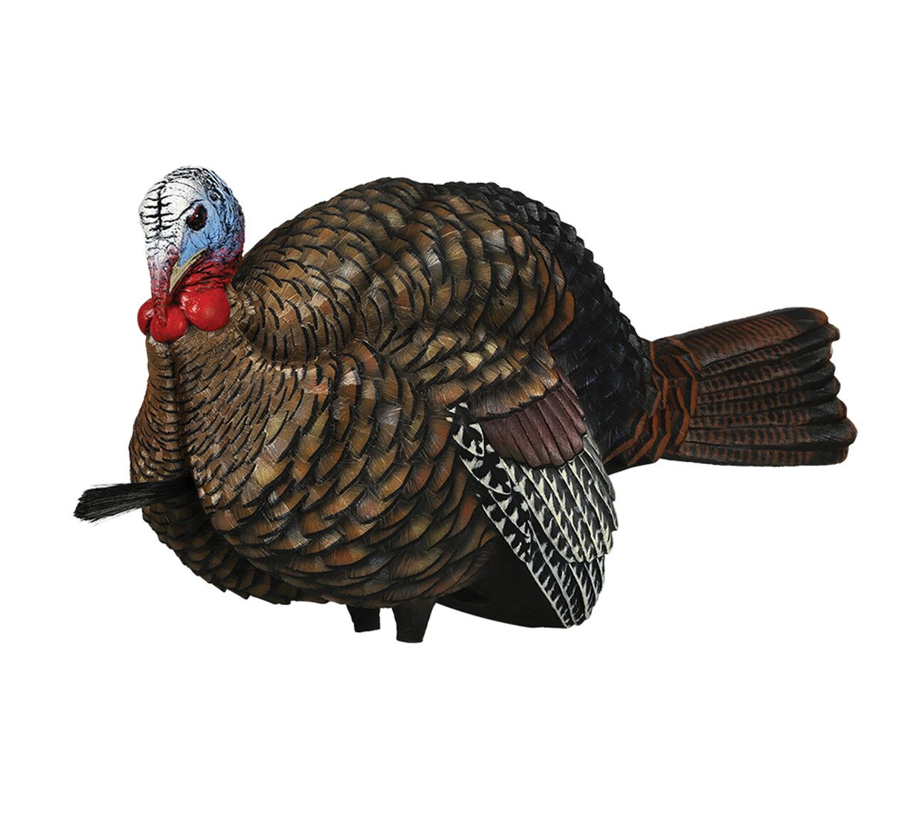 Avian X LCD 1/2 Strut Jake Turkey Decoy