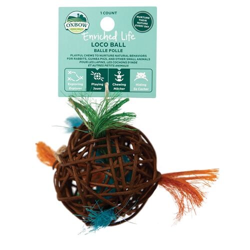 Enriched Life Loco Ball Toy