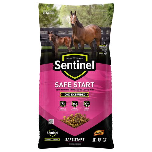 Blue Seal Sentinel Safe Start Horse Feed - 50 Lb