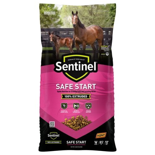 Blue Seal Sentinel Safe Start Horse Feed - 50 Lb