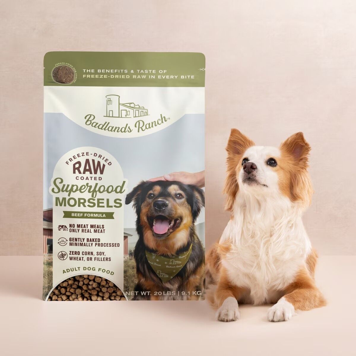 Badlands Ranch Freeze-Dried Raw Coated Superfood Morsels in Beef