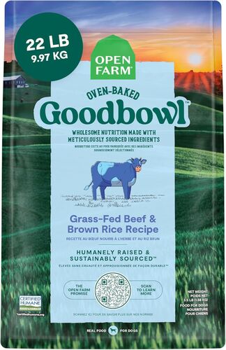 Goodbowl Beef & Brown Rice Recipe for Dogs - 22 Lb