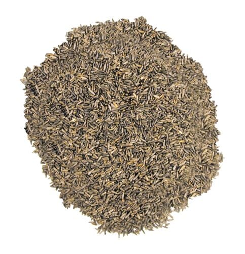 Nyjer Thistle Bird Seed