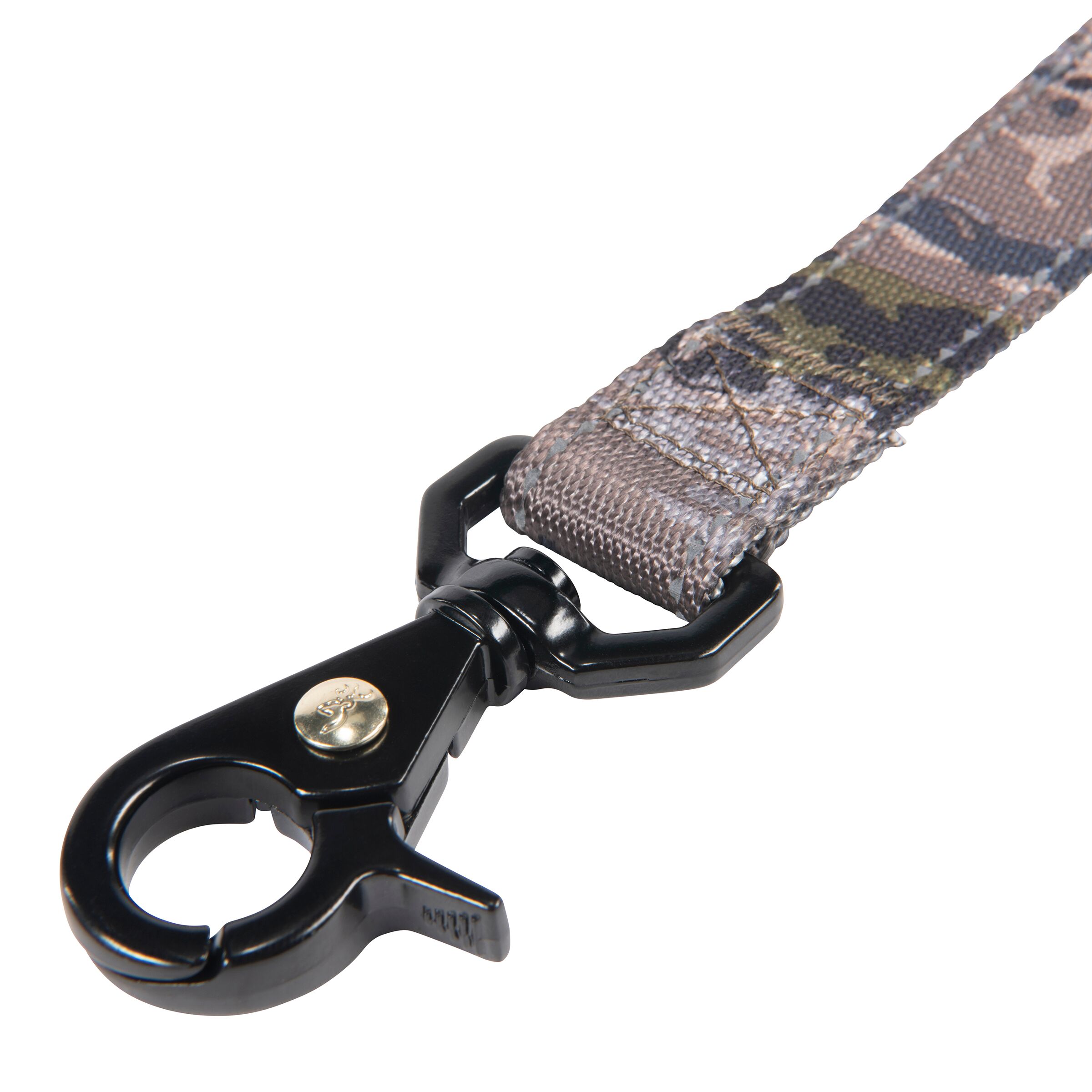 Classic Webbing Dog Lead