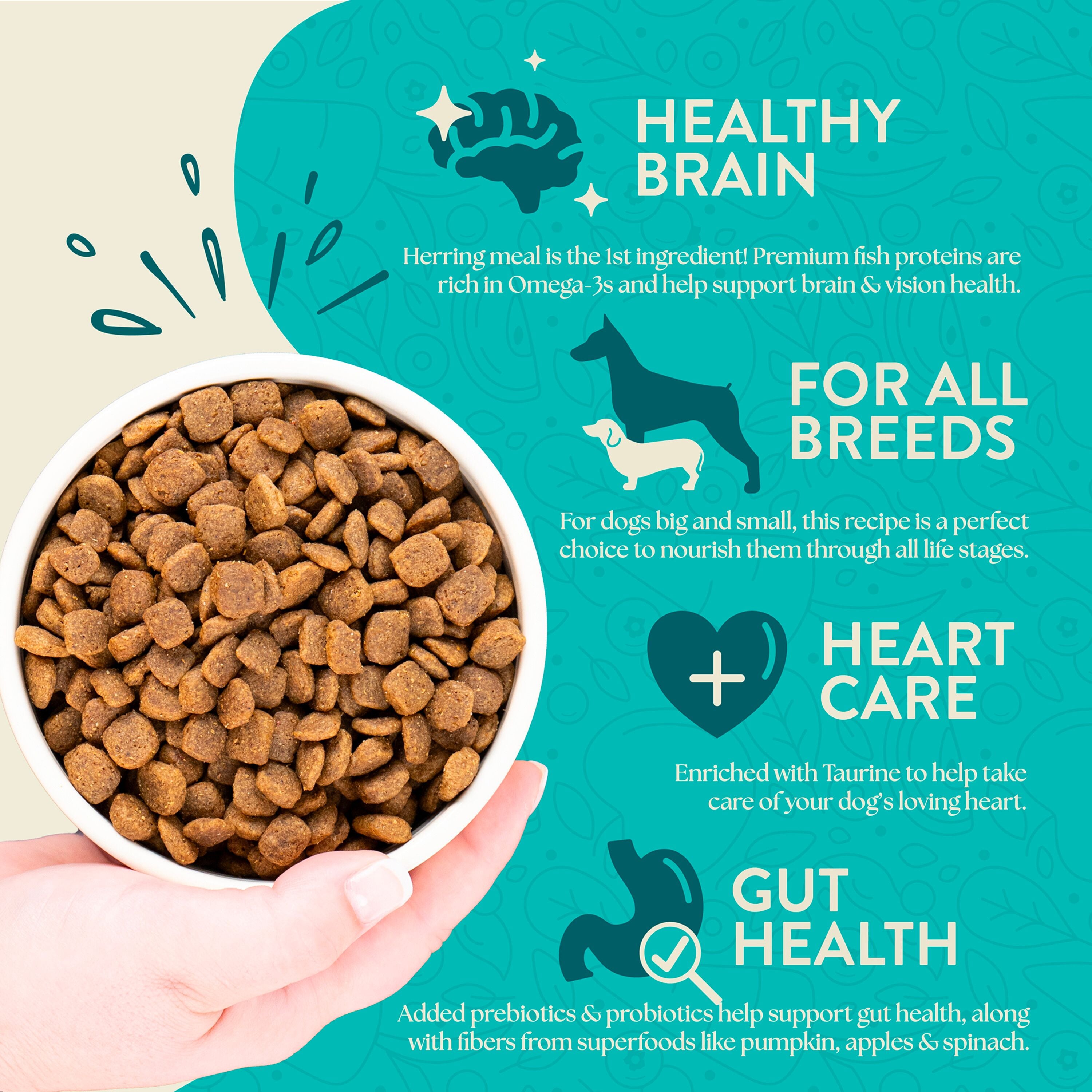 Coastal Catch Herring Meal & Vegetables Grain-Free Dry Dog Food