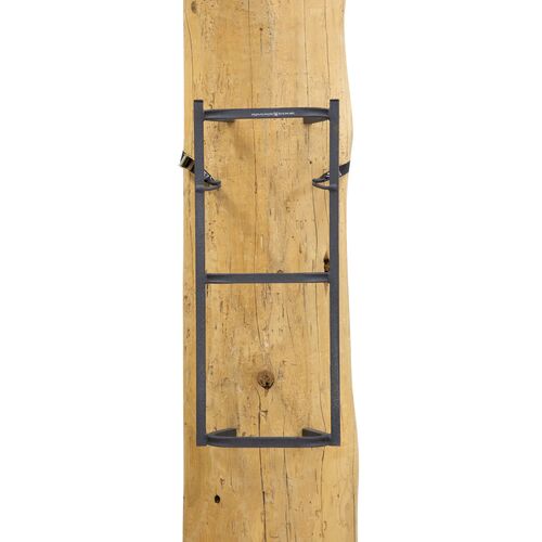 Grip Rail Ladder Steps