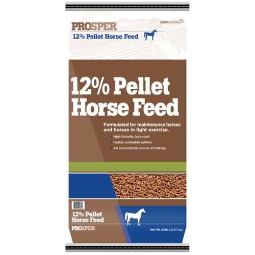 12% Pelleted Horse Feed - 50 Lb