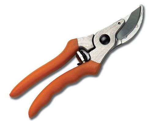 PP 10 Pruner