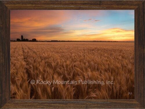 Sunrise Before Harvest Wall Art - 7" x 10"