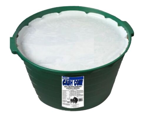 Cow Ragland (TUB) Cash Cow 20% Protein 200 Lb