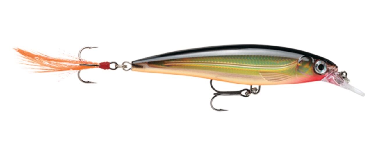 X-Rap Lure