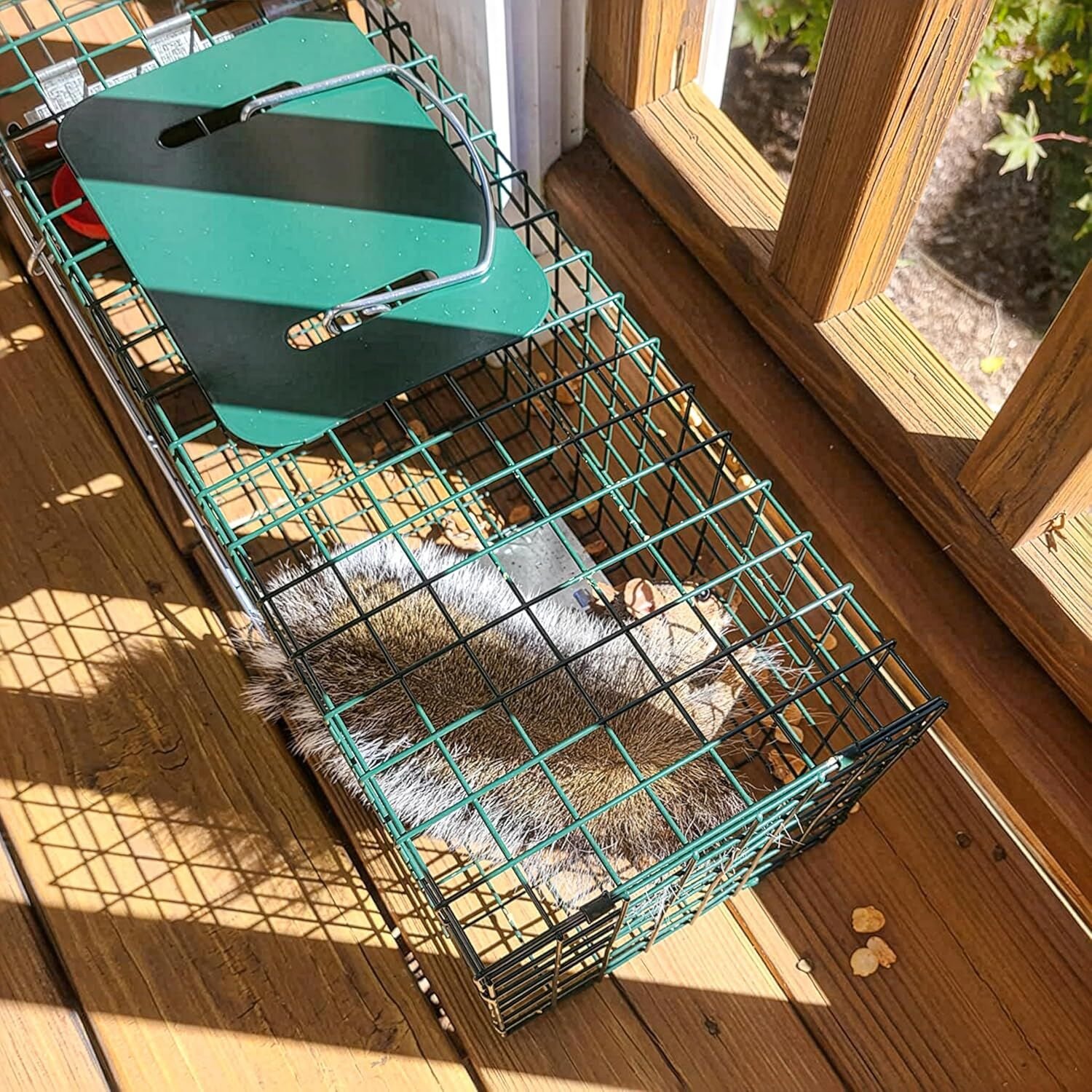 Homestead Homestead Rapid Set Live Trap 2 Pack, Small & Large