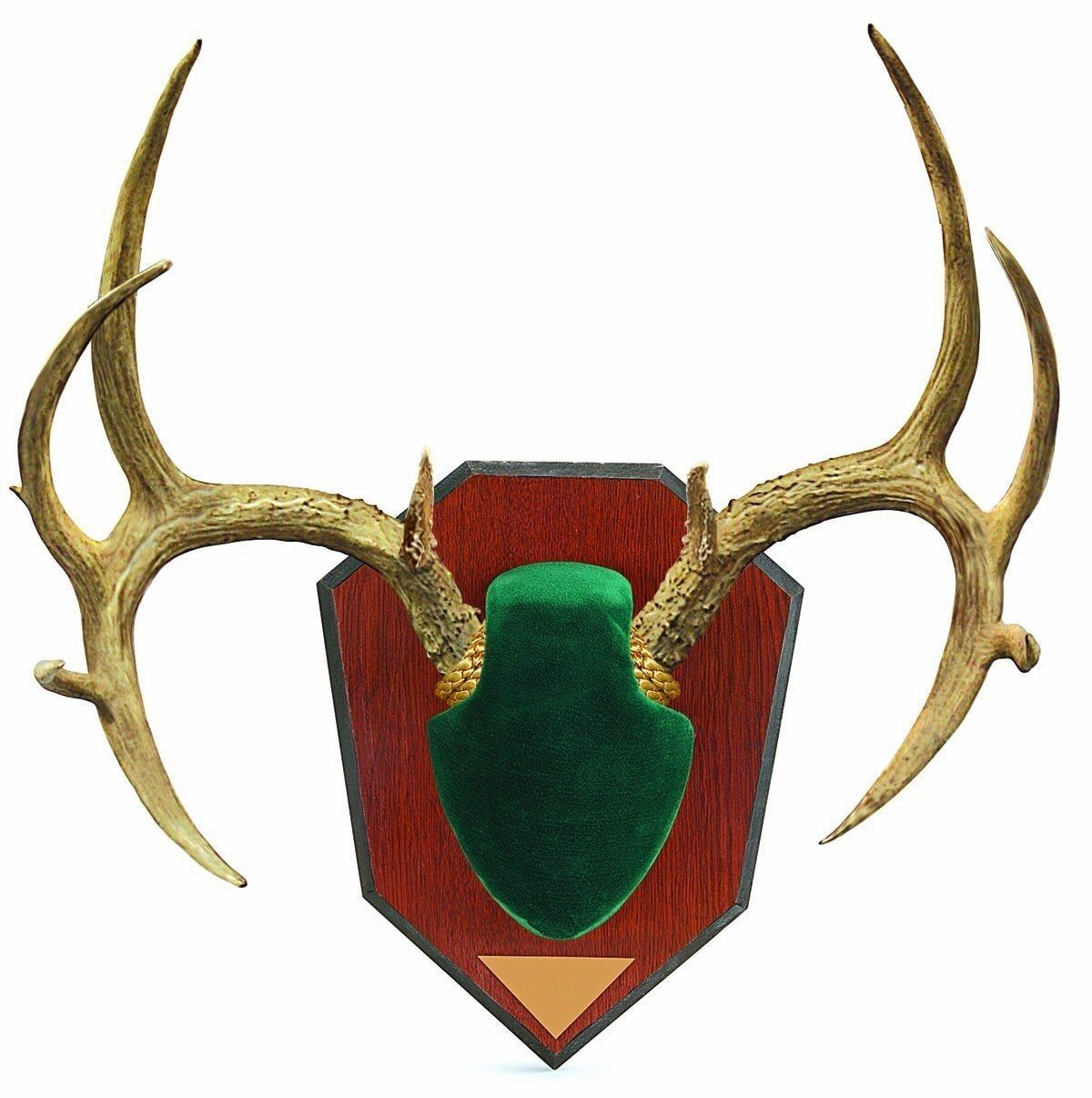 Mounting Kit W/ Skull Cover