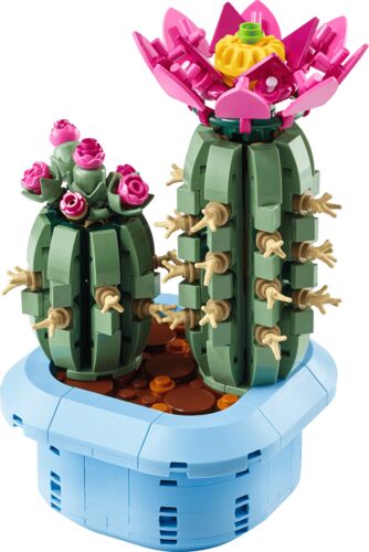 Botanicals Flowering Cactus