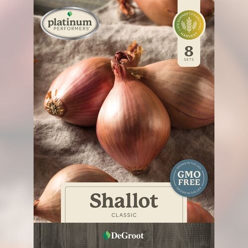 Shallots - Classic 8 Sets