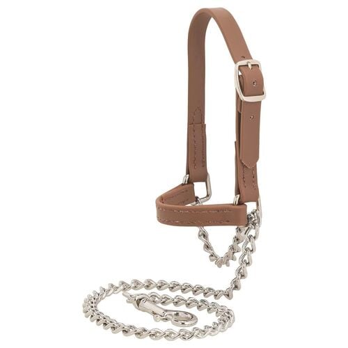Brahma Webb Goat Halter Russet Brown