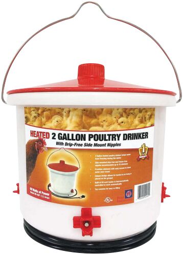 Heated 2 Gallon Poultry Side Drinker - 60 Watts