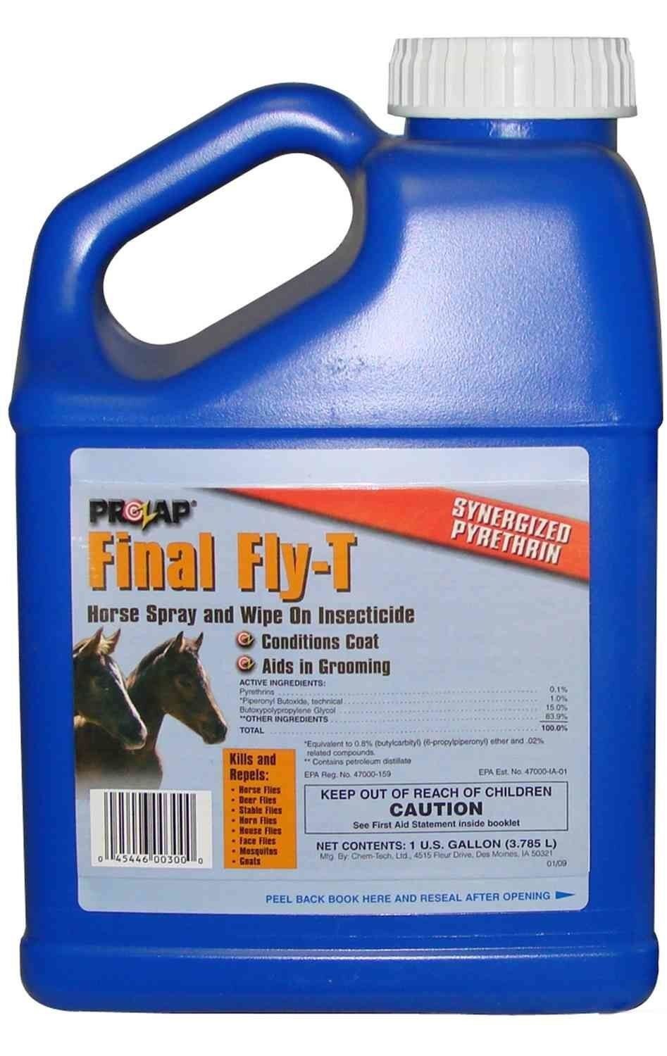 Final-Fly-T