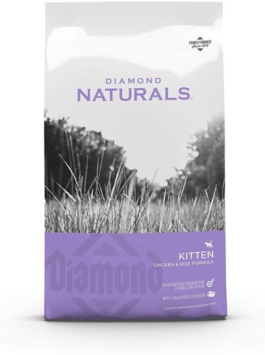 Kitten Chicken & Rice Formula Dry Cat Food - 6 lb Bag