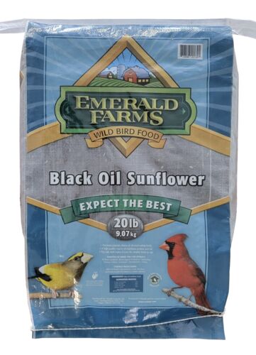 Black Oil Sunflower Seeds Bird Food 20 lb