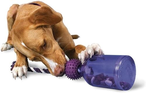 Busy Buddy Tug-A-Jug Meal Medium Dog Toy