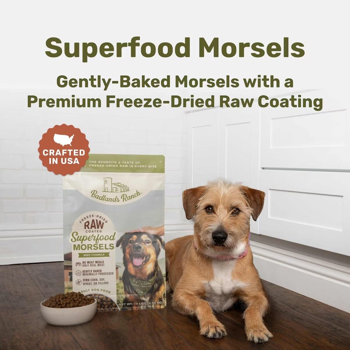 ドッグフード Badlands Ranch Freeze-Dried Raw Coated Morsels Chicken Dog Food