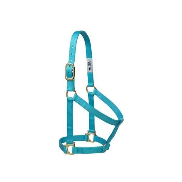 1" Basic Leather Non-Adjustable Halter