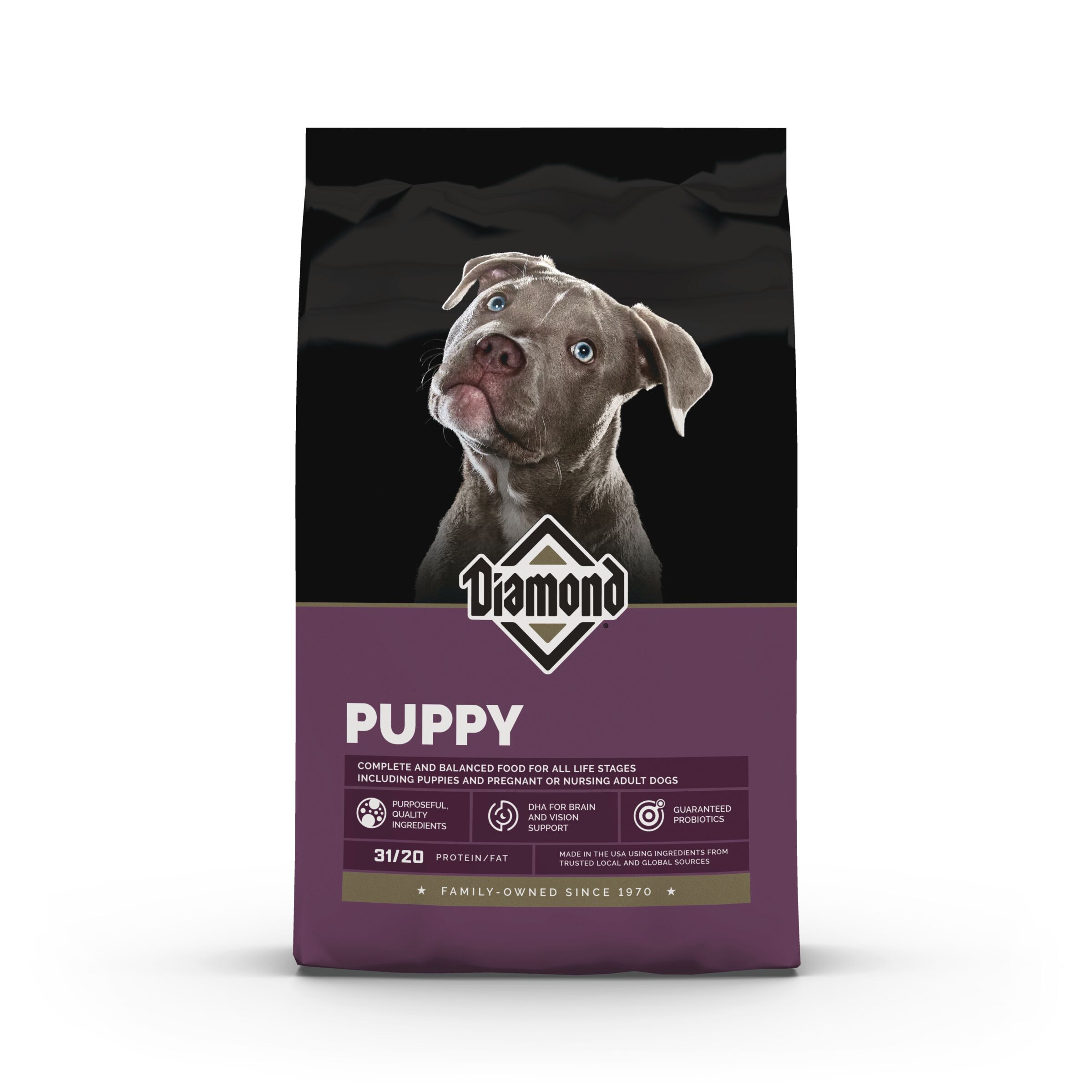 Puppy Dry Dog Food