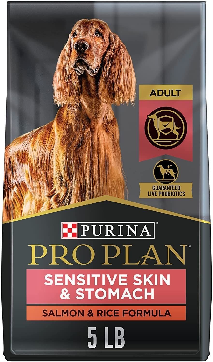 Sensitive Skin & Stomach Salmon & Rice Adult Dry Dog Food
