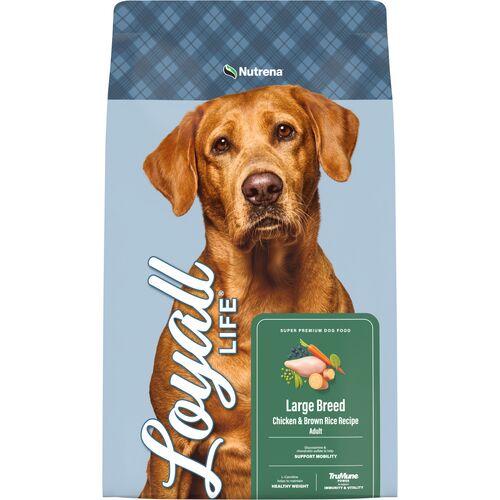 Loyall Life Large Breed Chicken & Brown Rice Recipe Adult Dog Food - 40 Lb