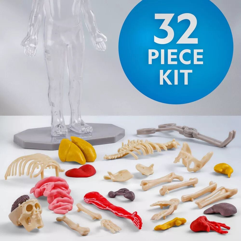 National Geographic Glow-in-the-Dark Human Body Kit