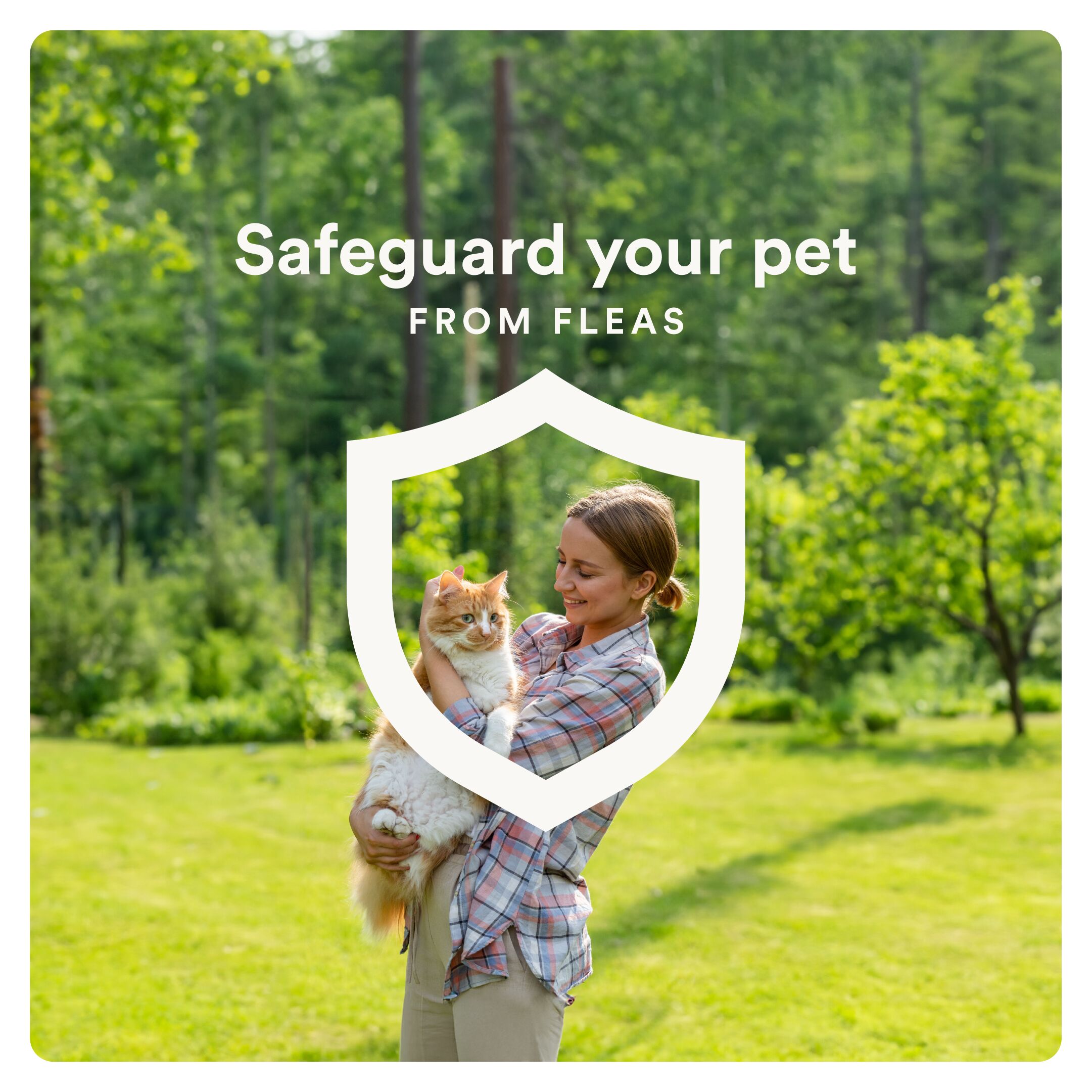 Plus Flea Protection for Cats