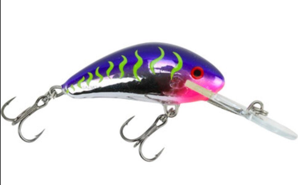 Hornet Floating Crankbait