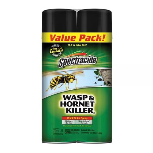 Wasp and Hornet Insect Killer - 18.5 oz Aerosol 2-Pack