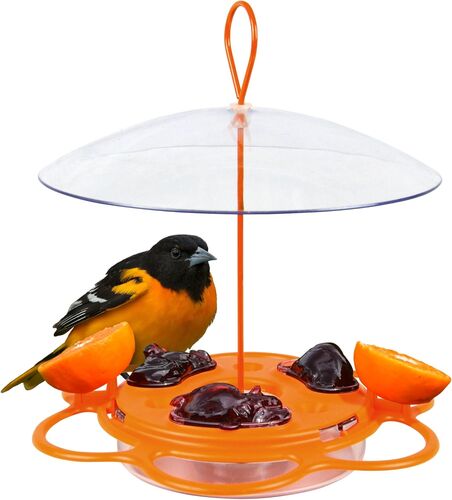All-In-One Oriole Buffet with Protective Baffle