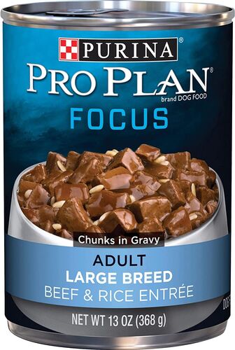 Adult Large Breed Beef & Rice Entre Canned Dog Food - 13 oz