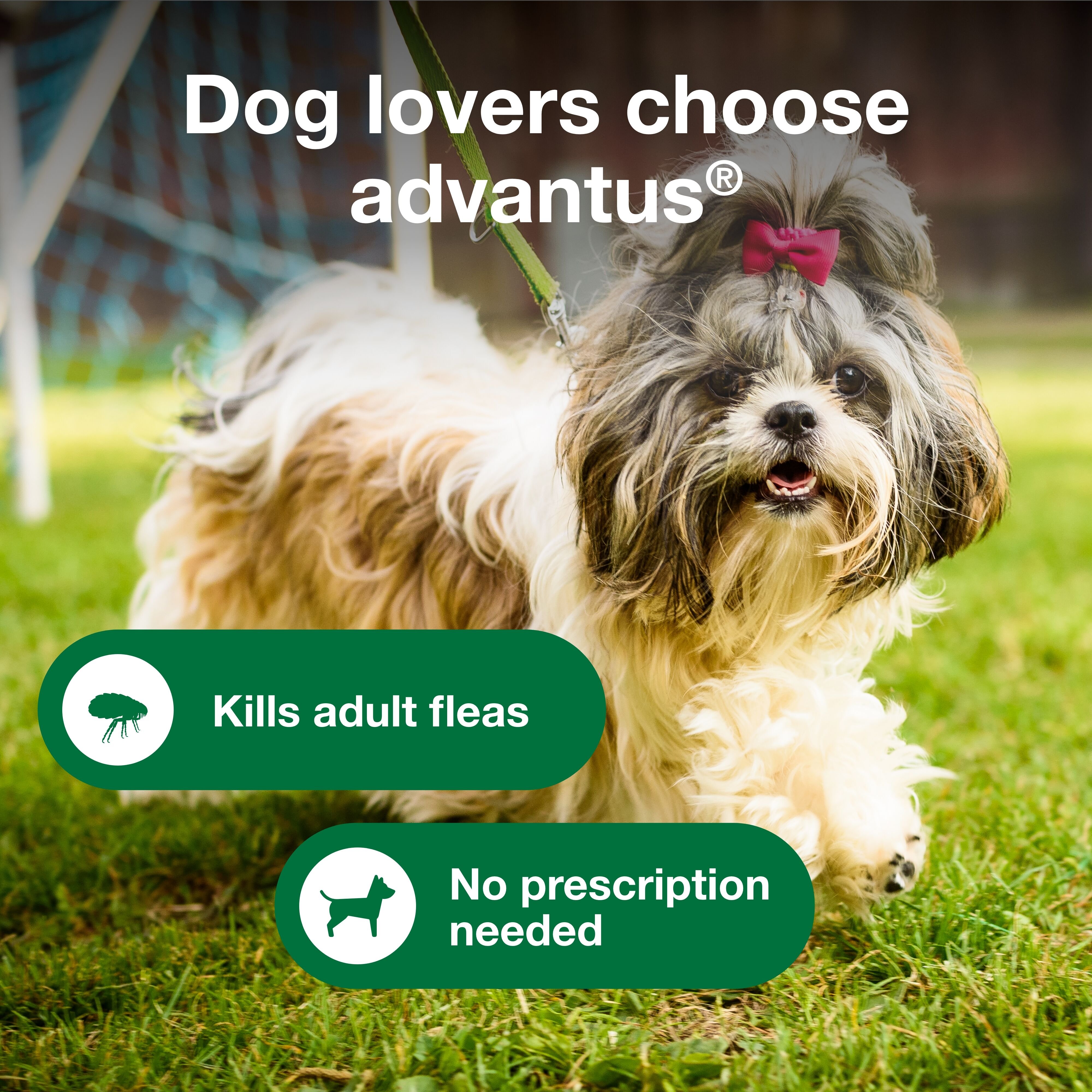 Chewable Flea Treatment