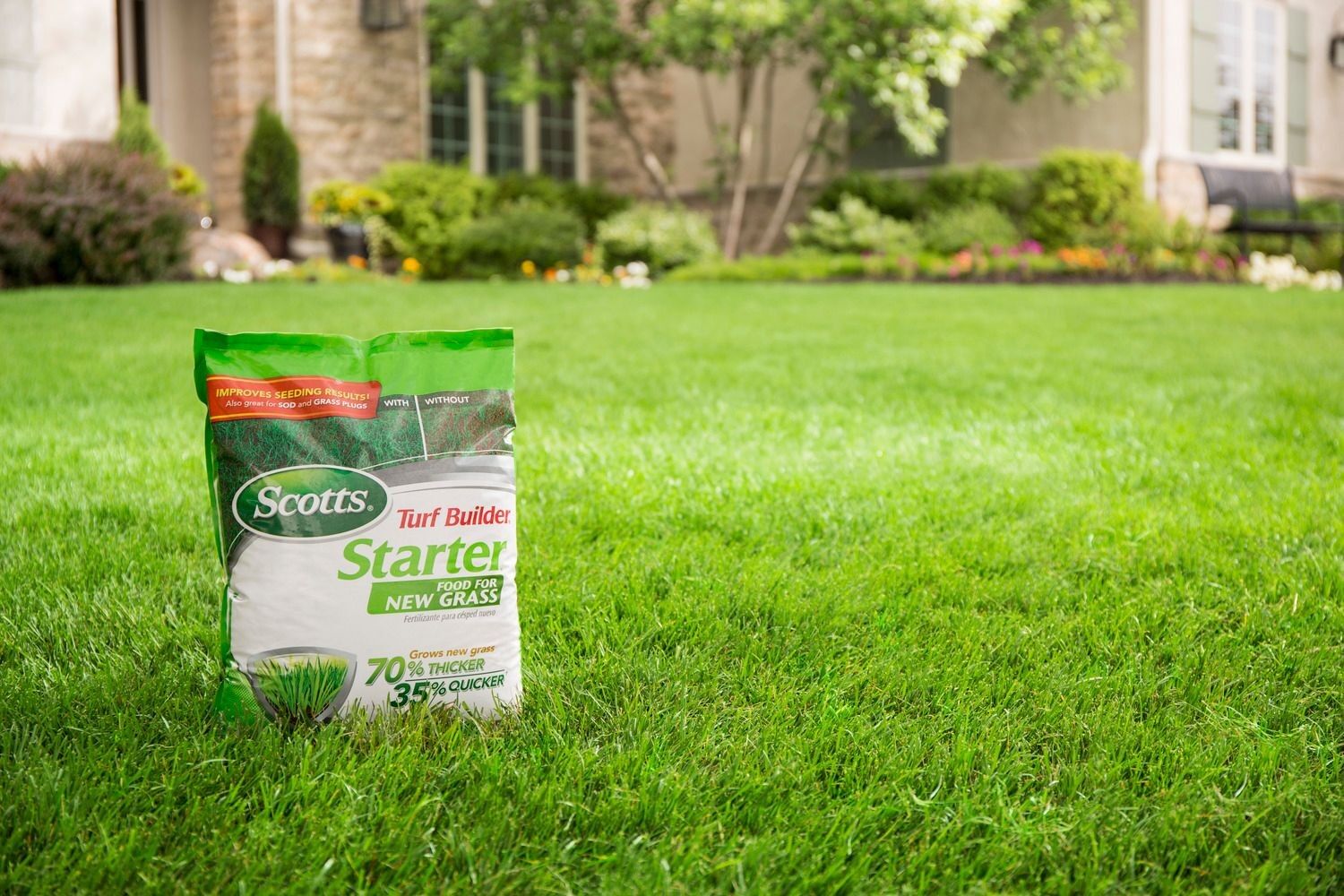 Turf Builder Starter Food for New Grass