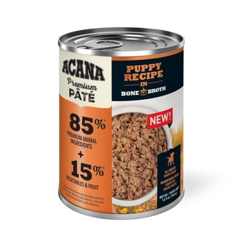 Premium Chunks Puppy Recipe Wet Dog Food - 12.8 oz