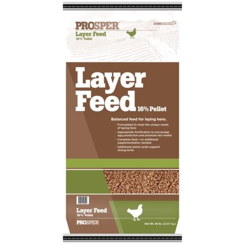 16% Layer Pellet Feed - 50 Lb