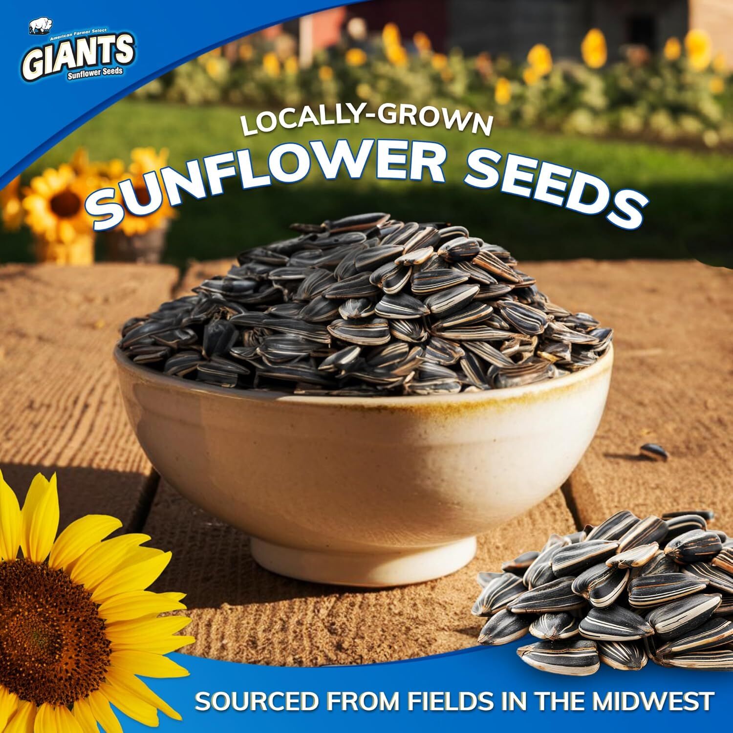 GIANTS Roasted & Salted Original Sunflower Seeds - 12 oz