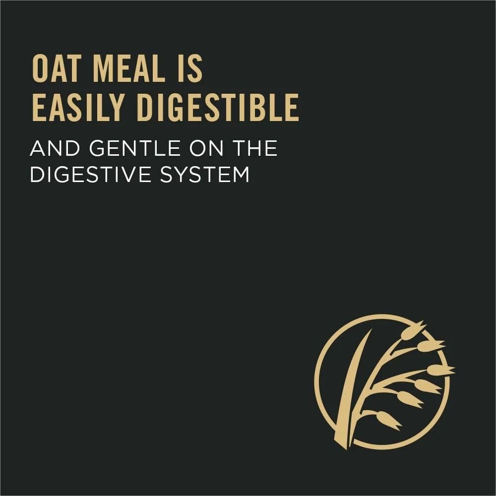 Sensitive Skin & Stomach Salmon & Rice Adult Dry Dog Food