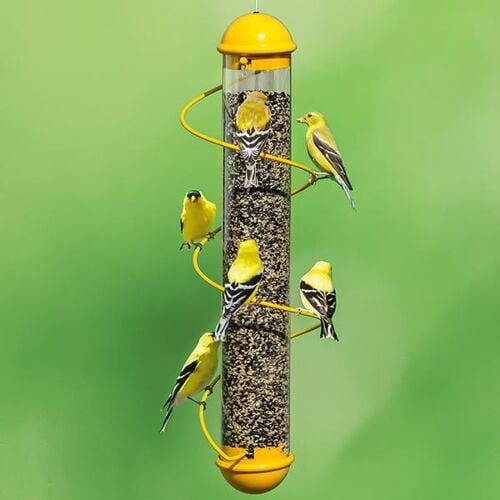 17" Spiral Finch Bird Feeder
