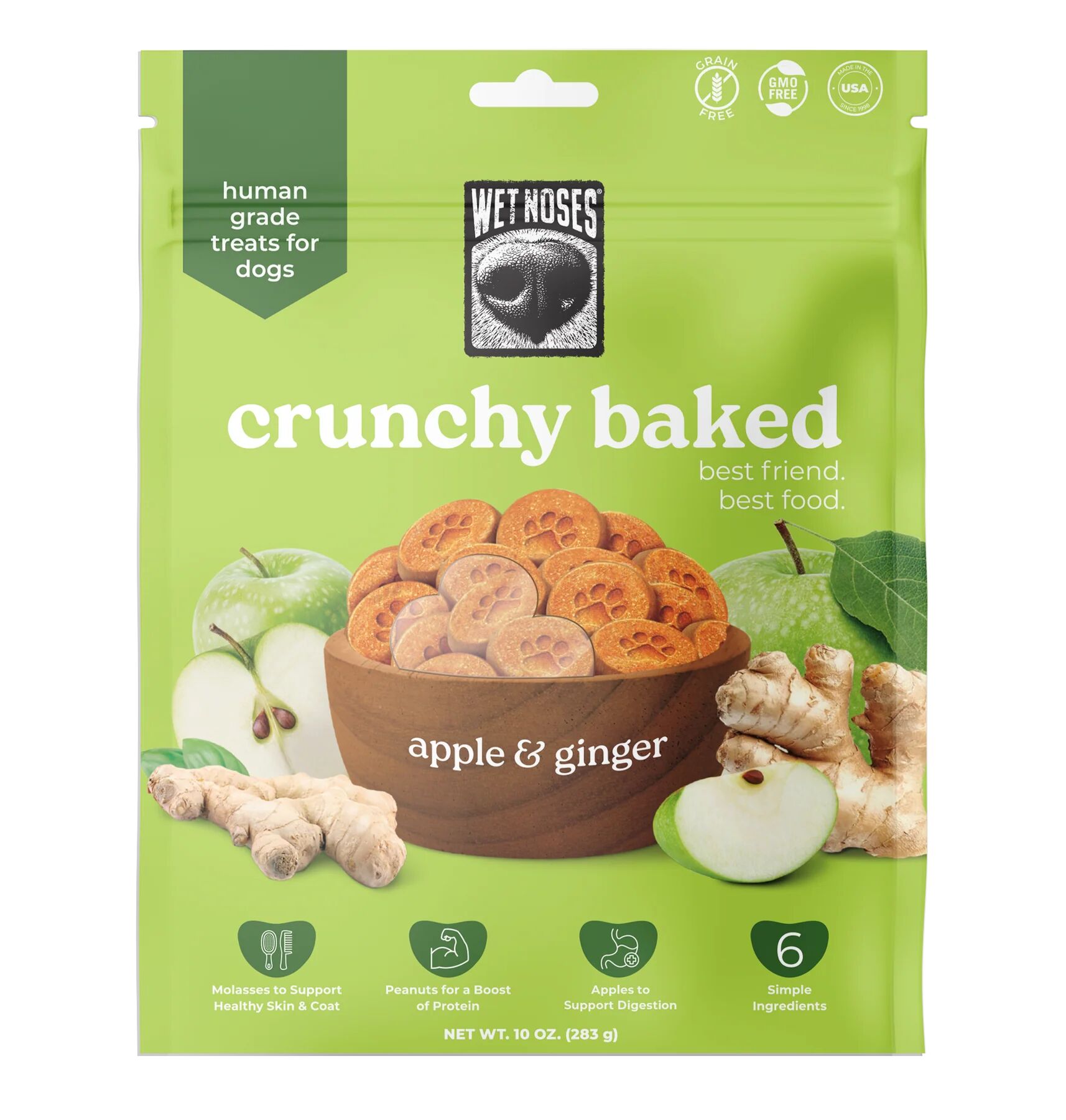 Wet Noses Apple & Ginger Crunchy Baked Dog Treats - 10 oz